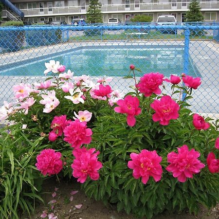 Grand Motel Toronto Zewnętrze zdjęcie