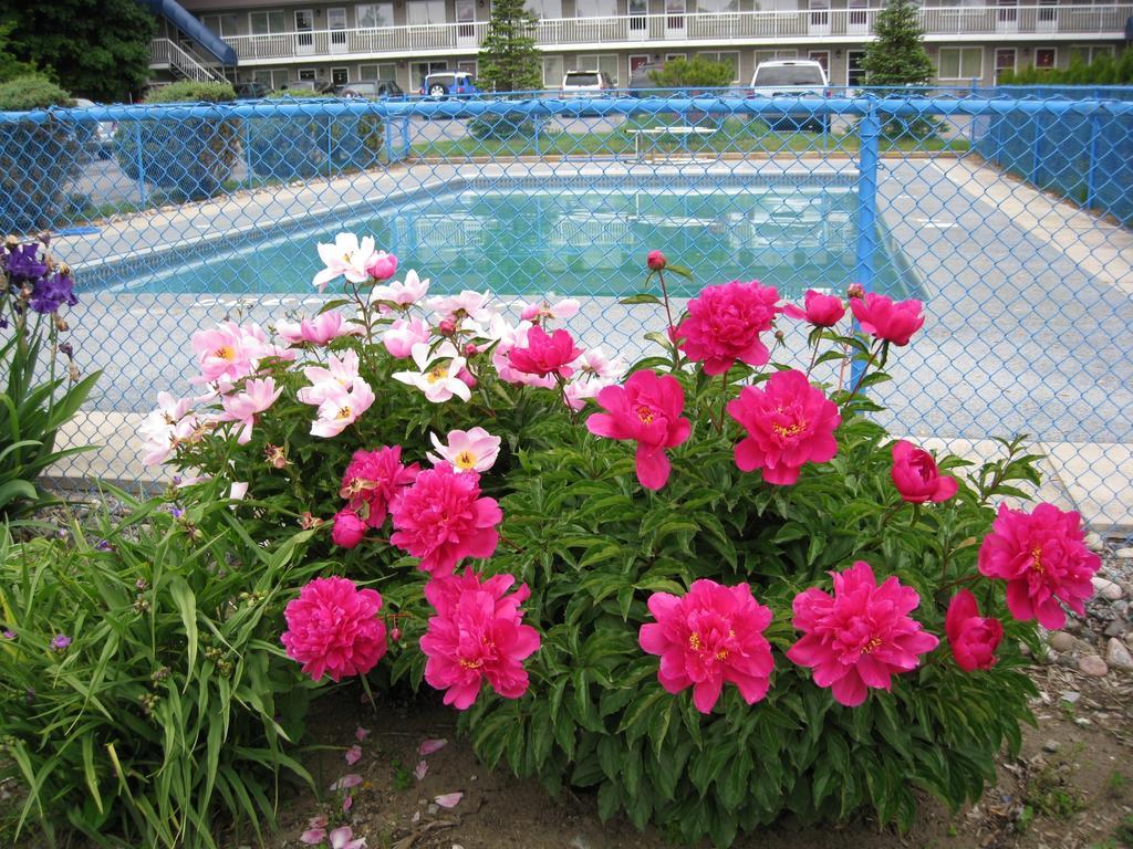 Grand Motel Toronto Zewnętrze zdjęcie